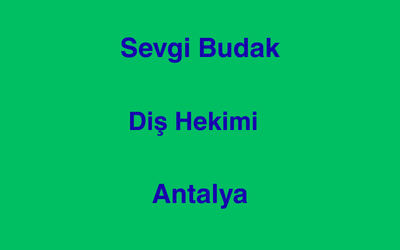 Sevgi Budak
